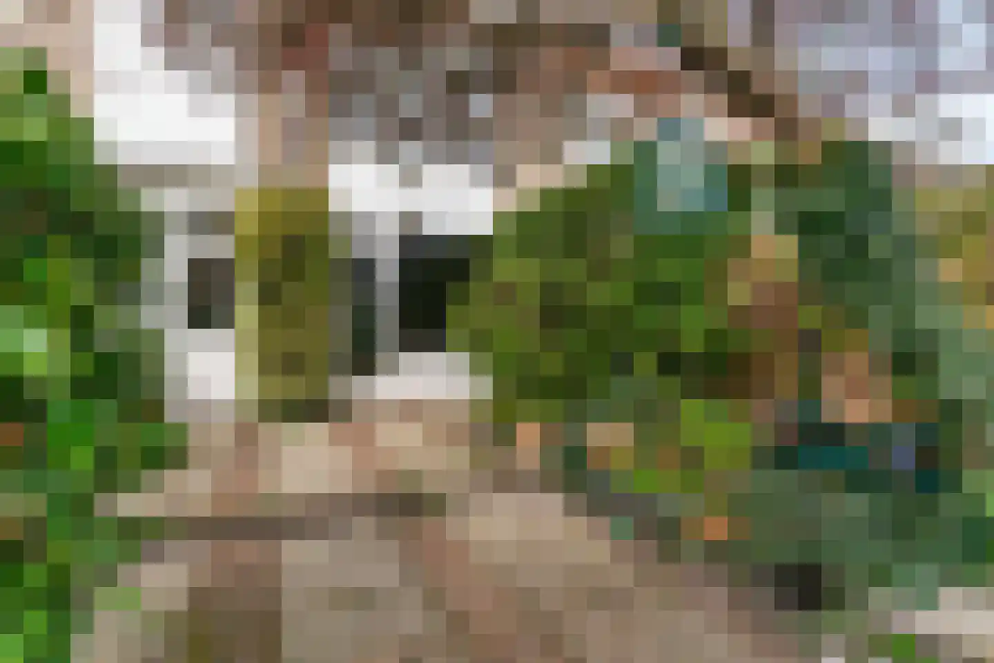 Witte de Withlaan 22 Oegstgeest thumbnail 33