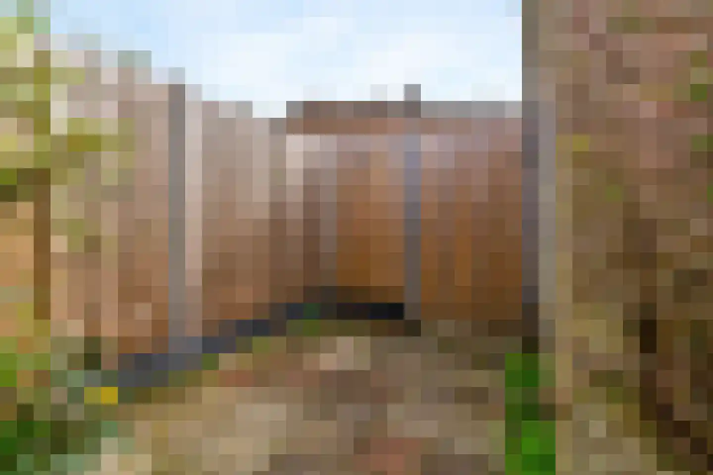 Witte de Withlaan 22 Oegstgeest thumbnail 35