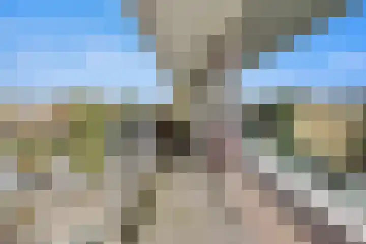 Witte de Withlaan 22 Voorschoten thumbnail 20