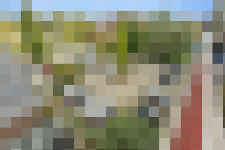 Witte de Withlaan 22 Voorschoten thumbnail 21