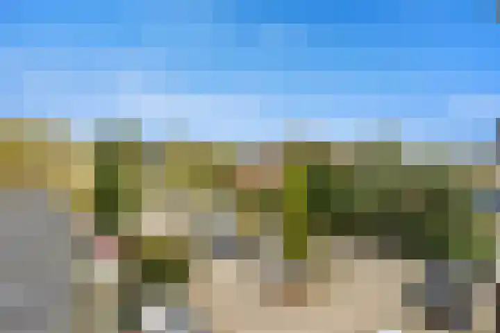 Witte de Withlaan 22 Voorschoten thumbnail 22