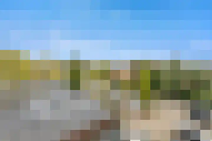 Witte de Withlaan 22 Voorschoten thumbnail 23