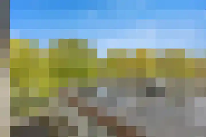 Witte de Withlaan 22 Voorschoten thumbnail 24