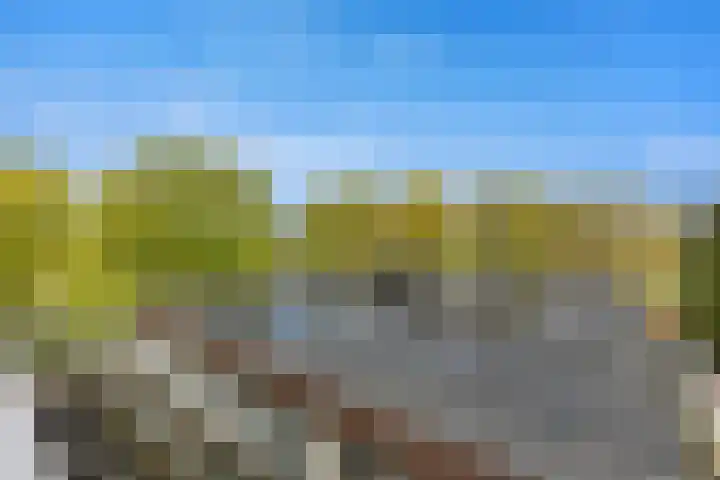 Witte de Withlaan 22 Voorschoten thumbnail 25