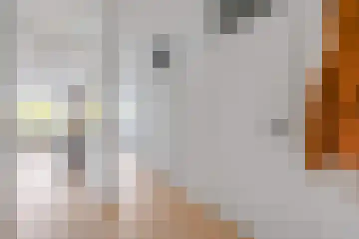 Witte de Withlaan 22 Voorschoten thumbnail 35