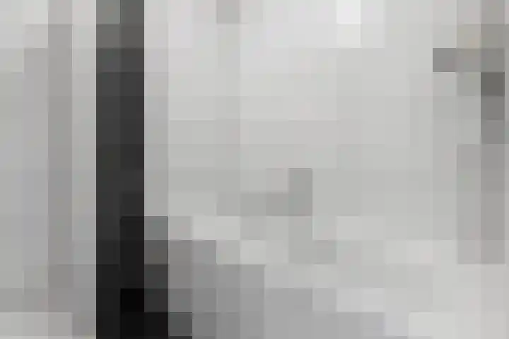 Witte de Withlaan 22 Voorschoten thumbnail 43