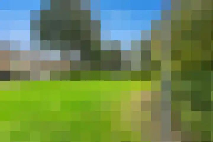 Witte de Withlaan 22 Voorschoten thumbnail 48