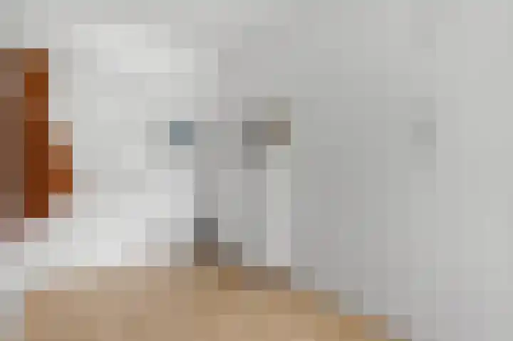 Witte de Withlaan 22 Voorschoten thumbnail 9