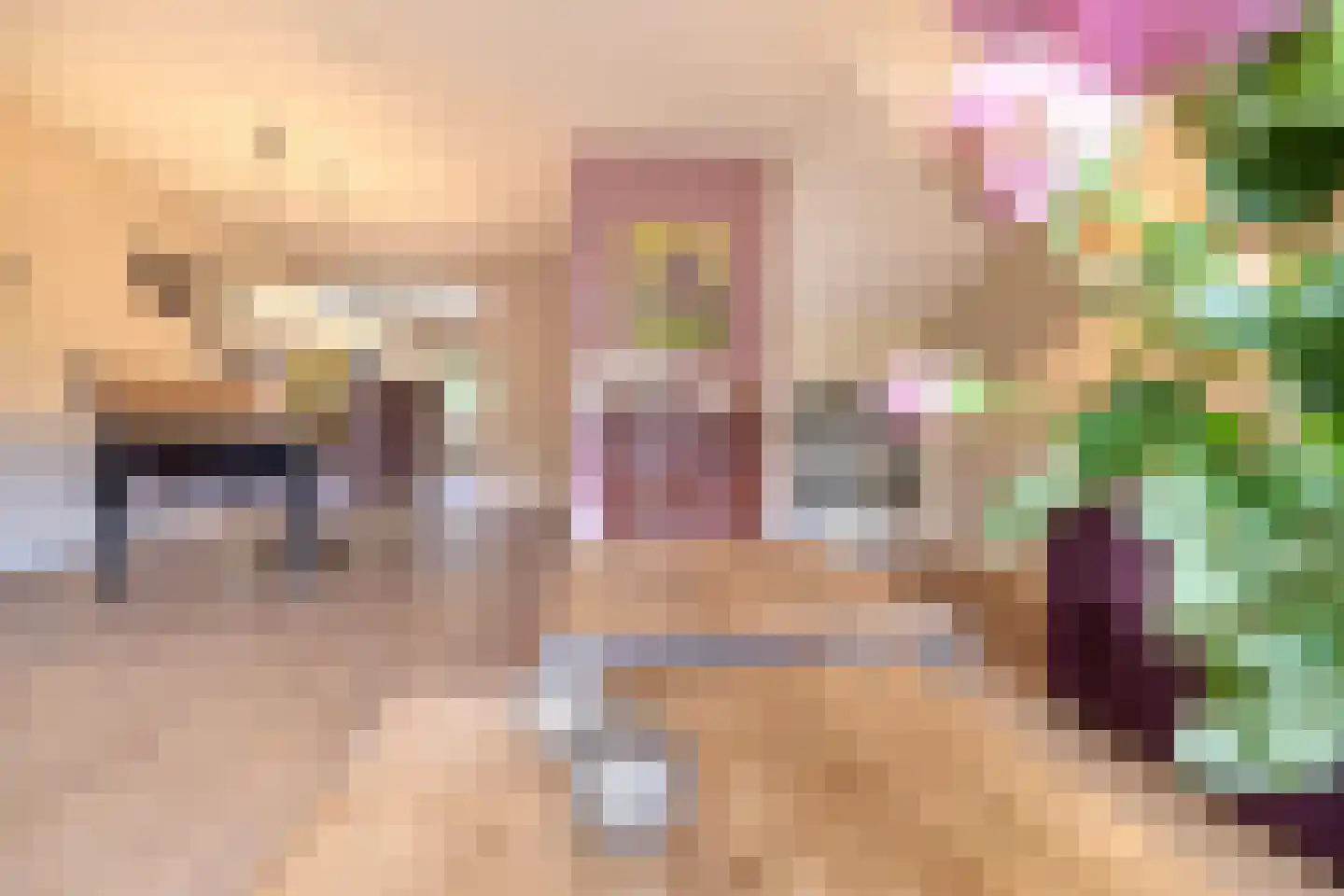 Witte de Withlaan 25 Bennebroek thumbnail 16