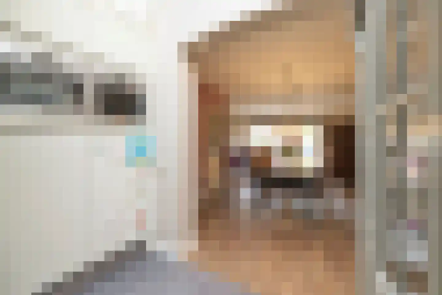 Witte de Withlaan 25 Bennebroek thumbnail 16