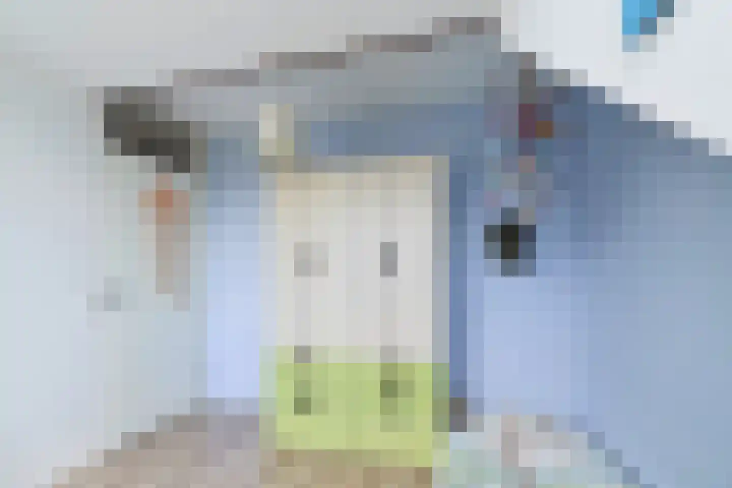 Witte de Withlaan 25 Bennebroek thumbnail 42