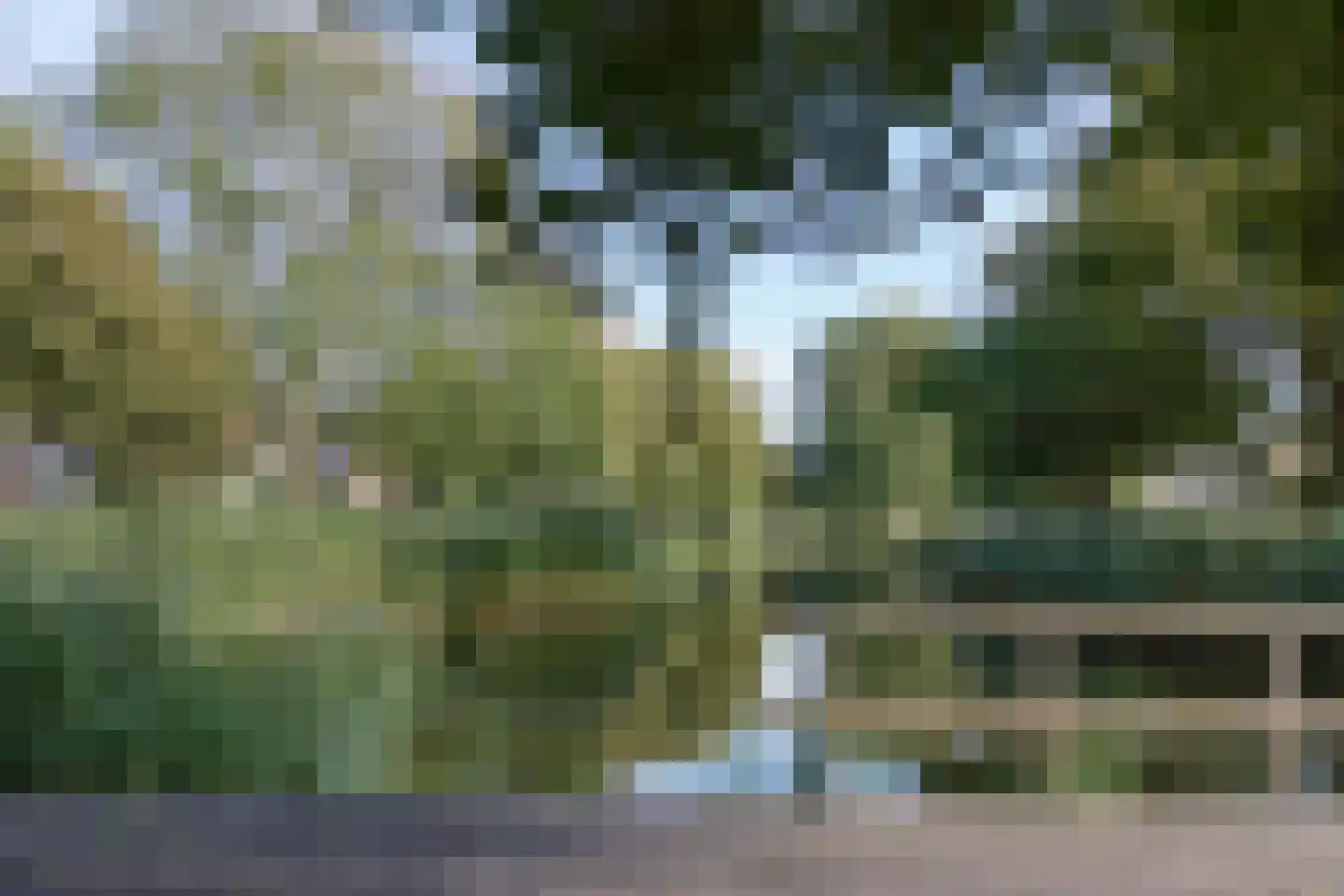 Witte de Withlaan 25 Bennebroek thumbnail 5