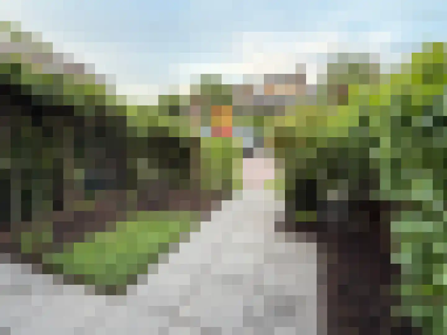 Witte de Withlaan 25 Bennebroek thumbnail 8