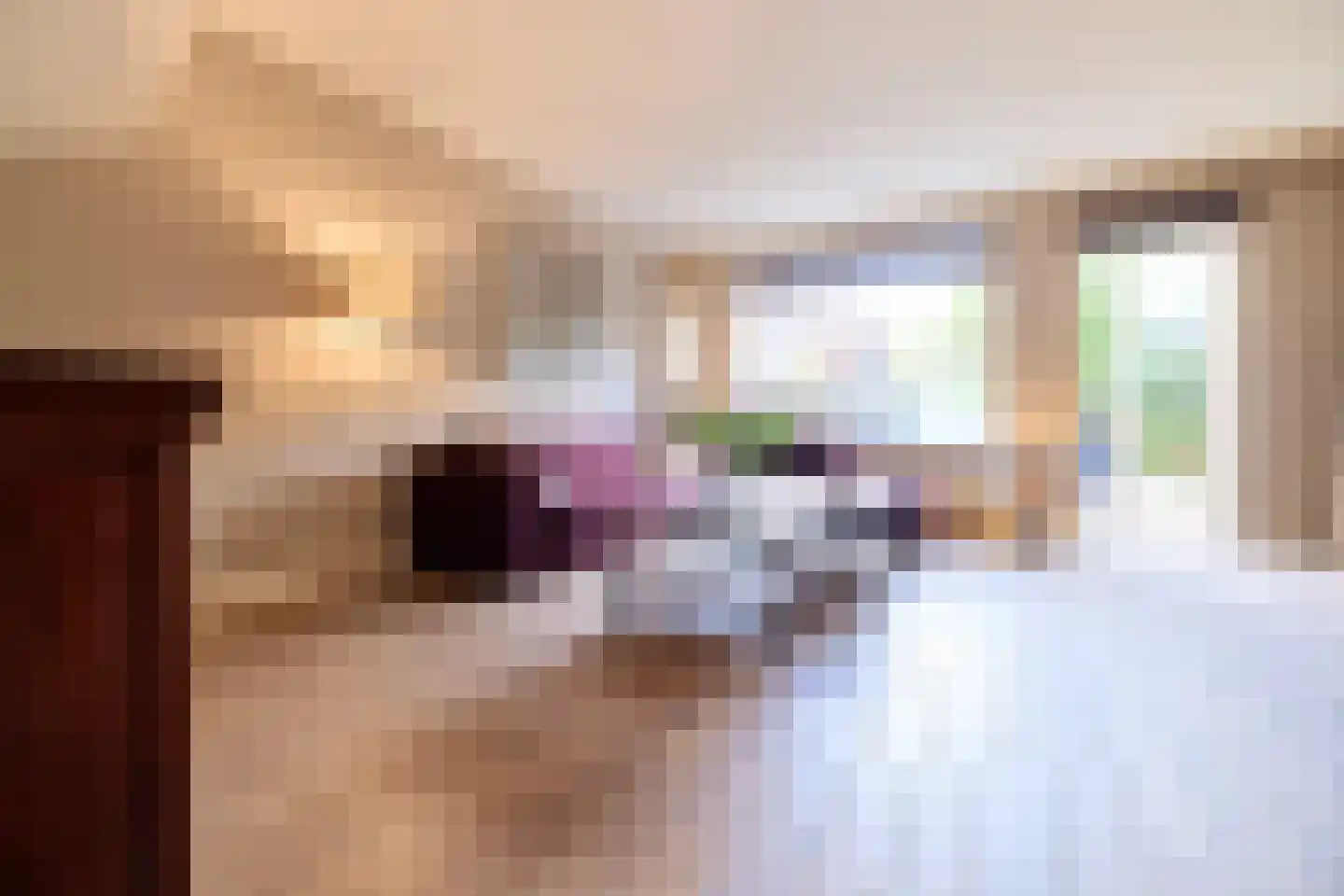 Witte de Withlaan 25 Bennebroek thumbnail 8