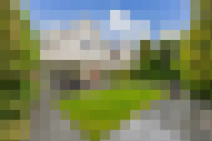 Witte de Withlaan 26 Bennebroek thumbnail 14