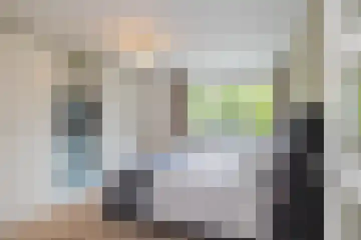Witte de Withlaan 26 Bennebroek thumbnail 17