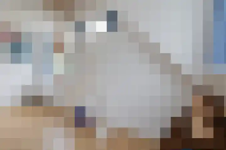 Witte de Withlaan 26 Bennebroek thumbnail 26