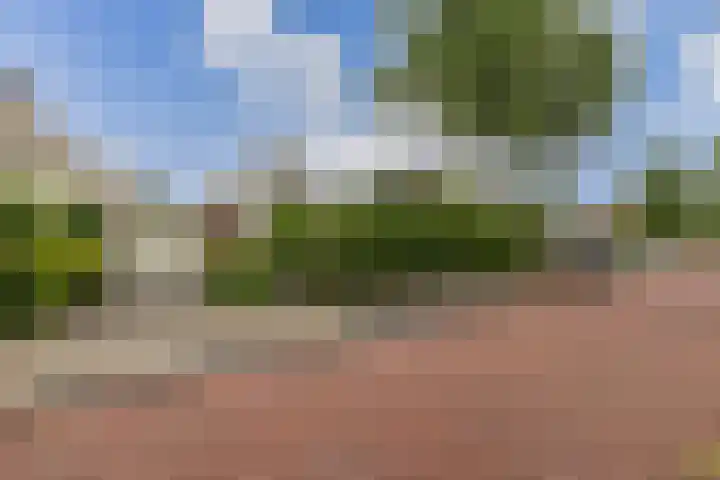 Witte de Withlaan 26 Bennebroek thumbnail 39