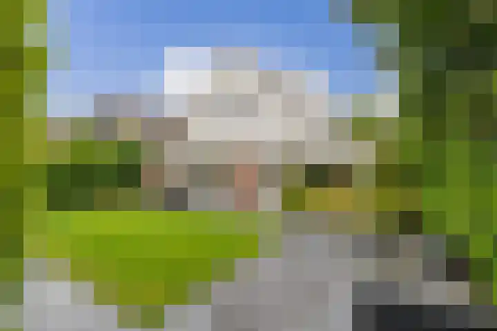 Witte de Withlaan 26 Bennebroek thumbnail 4