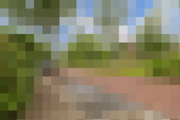 Witte de Withlaan 26 Bennebroek thumbnail 40