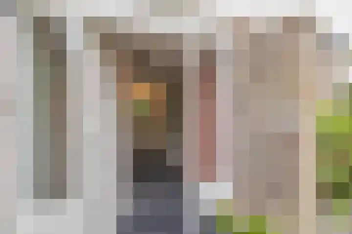 Witte de Withlaan 26 Bennebroek thumbnail 6