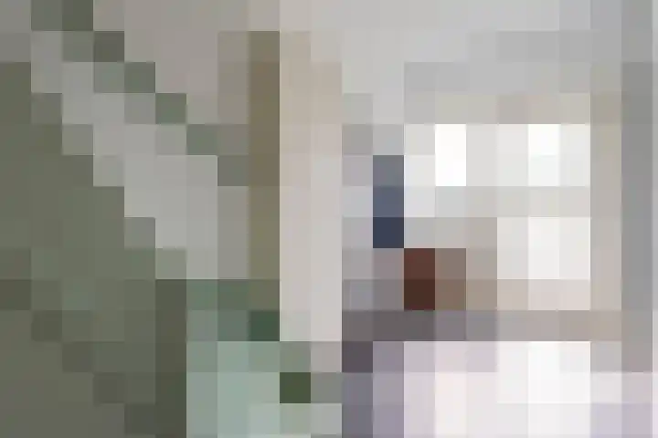 Witte de Withlaan 26 Oegstgeest thumbnail 10