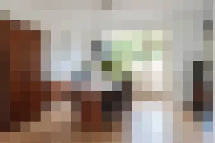 Witte de Withlaan 26 Oegstgeest thumbnail 17