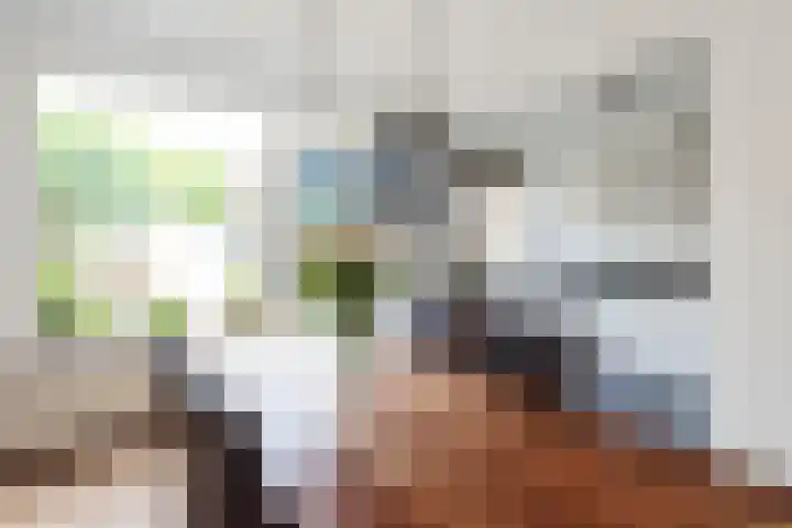 Witte de Withlaan 26 Oegstgeest thumbnail 18