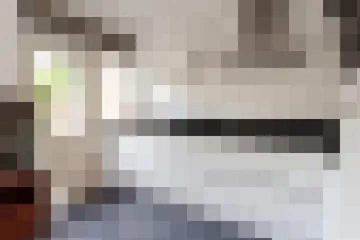 Witte de Withlaan 26 Oegstgeest thumbnail 19