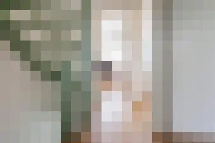 Witte de Withlaan 26 Oegstgeest thumbnail 22