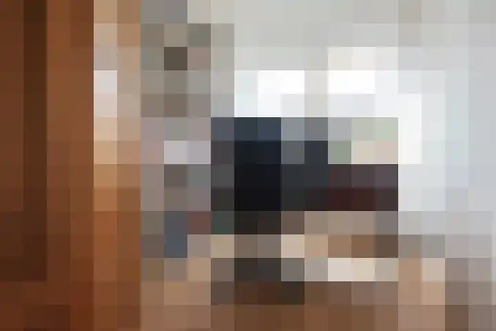 Witte de Withlaan 26 Oegstgeest thumbnail 24