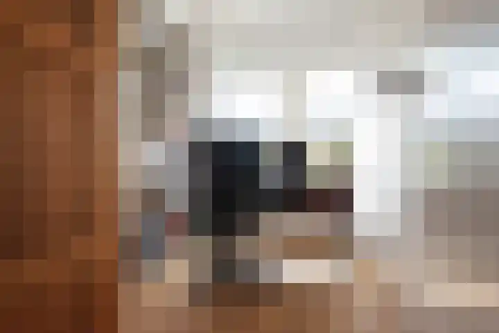 Witte de Withlaan 26 Oegstgeest thumbnail 25