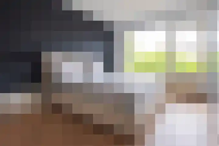 Witte de Withlaan 26 Oegstgeest thumbnail 30