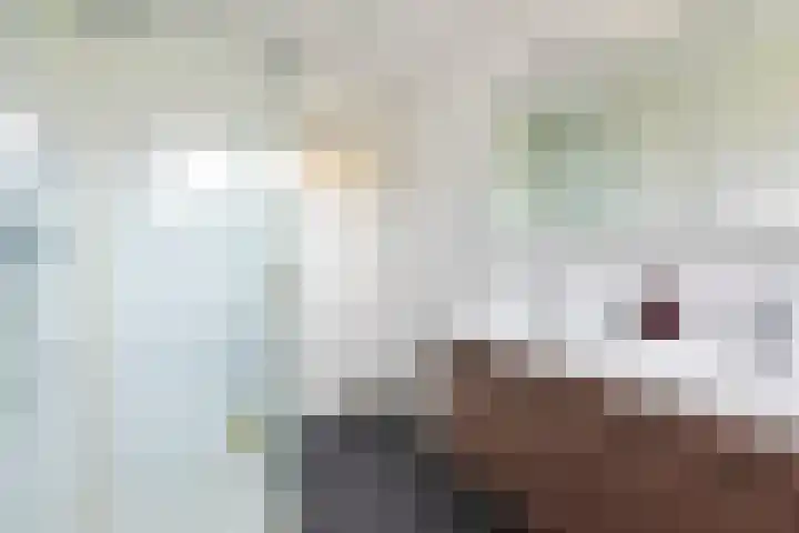 Witte de Withlaan 26 Oegstgeest thumbnail 36