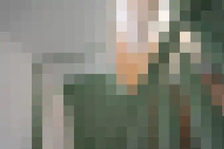 Witte de Withlaan 26 Oegstgeest thumbnail 37