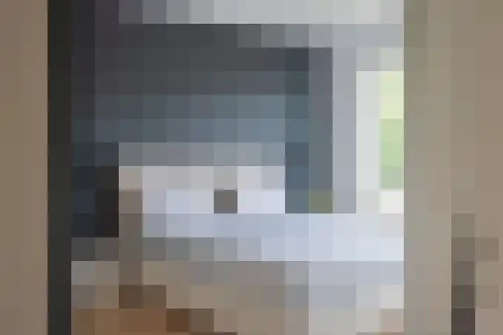 Witte de Withlaan 26 Oegstgeest thumbnail 4
