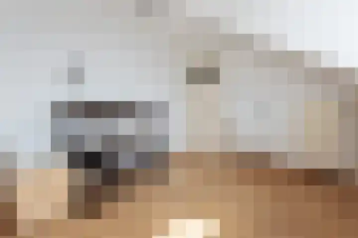 Witte de Withlaan 26 Oegstgeest thumbnail 41