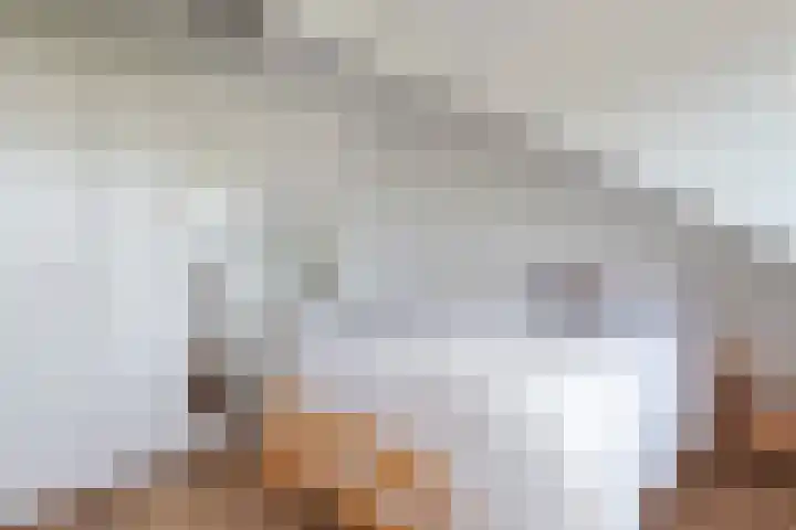 Witte de Withlaan 26 Oegstgeest thumbnail 45