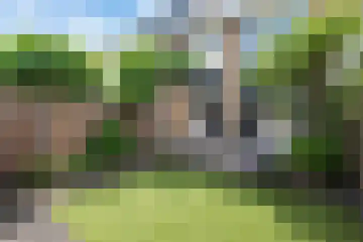 Witte de Withlaan 26 Oegstgeest thumbnail 51