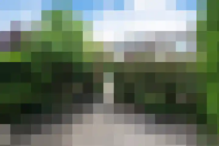 Witte de Withlaan 26 Oegstgeest thumbnail 8