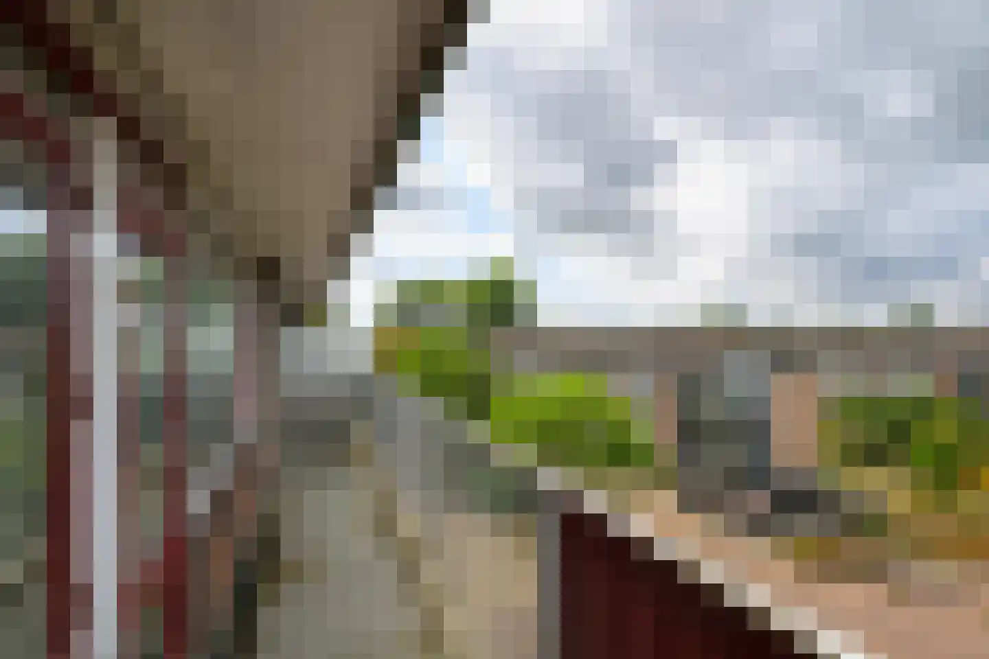 Witte de Withlaan 28 Voorschoten thumbnail 21