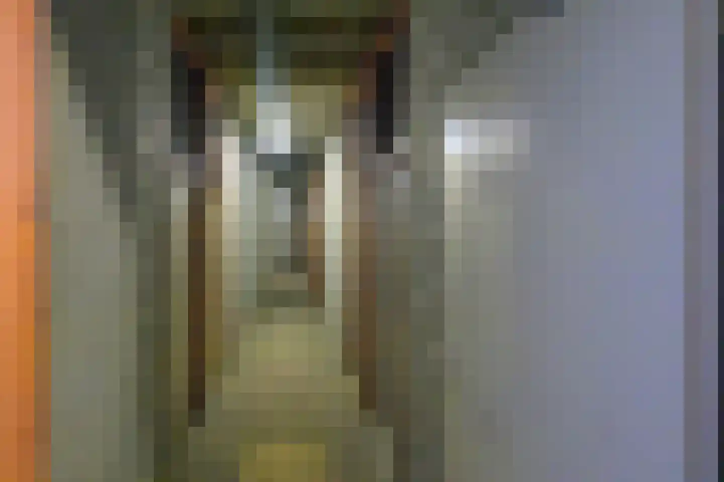 Witte de Withlaan 28 Voorschoten thumbnail 27