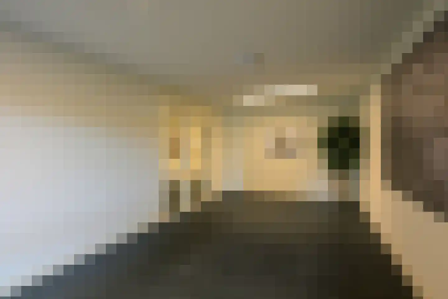 Witte de Withlaan 28 Voorschoten thumbnail 7