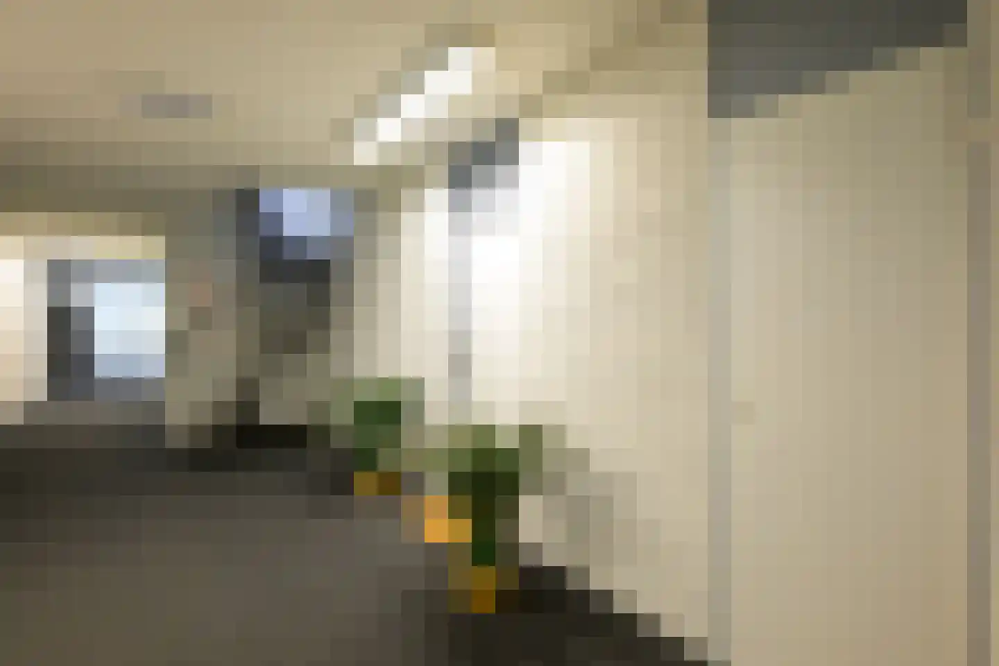 Witte de Withlaan 28 Voorschoten thumbnail 9