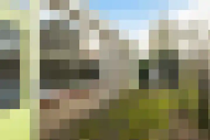 Witte de Withlaan 35 Woudenberg thumbnail 38