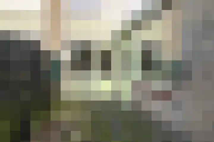 Witte de Withlaan 35 Woudenberg thumbnail 39
