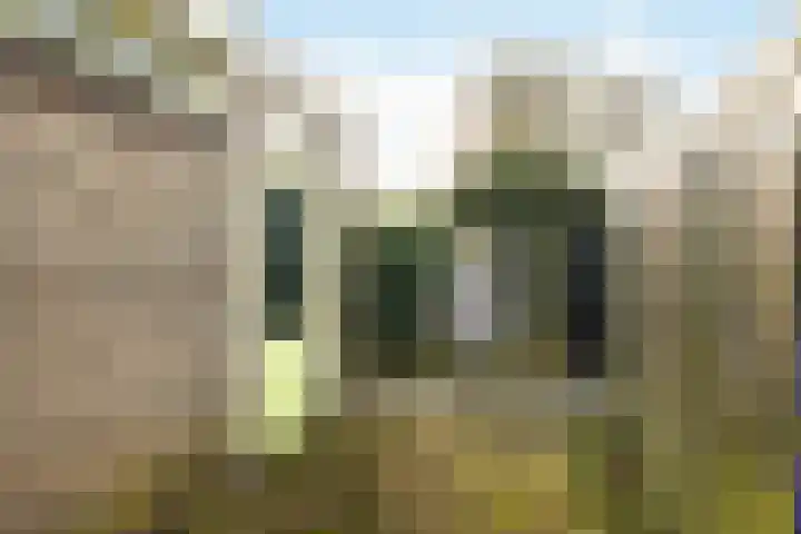 Witte de Withlaan 35 Woudenberg thumbnail 40