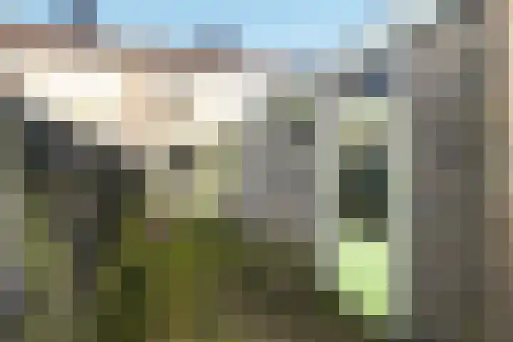 Witte de Withlaan 35 Woudenberg thumbnail 41