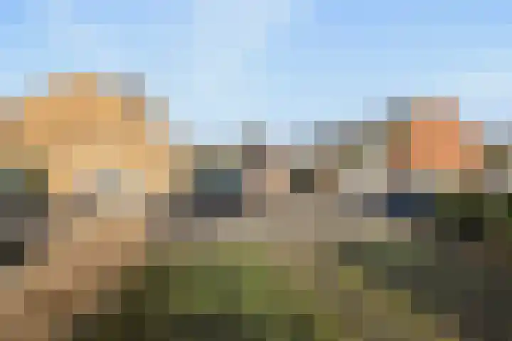 Witte de Withlaan 35 Woudenberg thumbnail 43