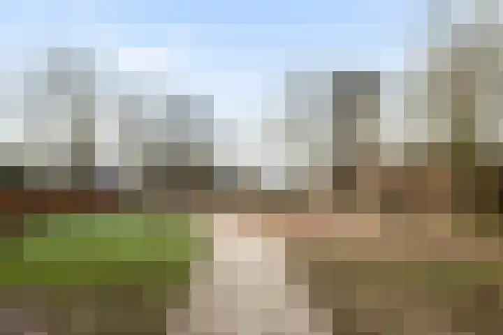 Witte de Withlaan 35 Woudenberg thumbnail 45